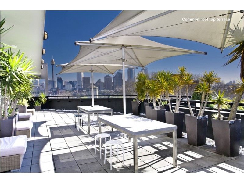 246/15 Springfield Avenue, Potts Point NSW 2011