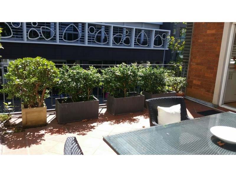 207/40 Macleay Street, Potts Point NSW 2011