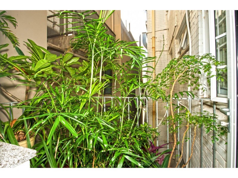 5/73a Macleay Street, Potts Point NSW 2011