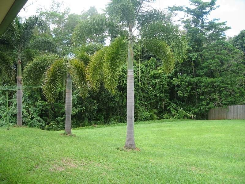 80 North Hull Road, Carmoo QLD 4852