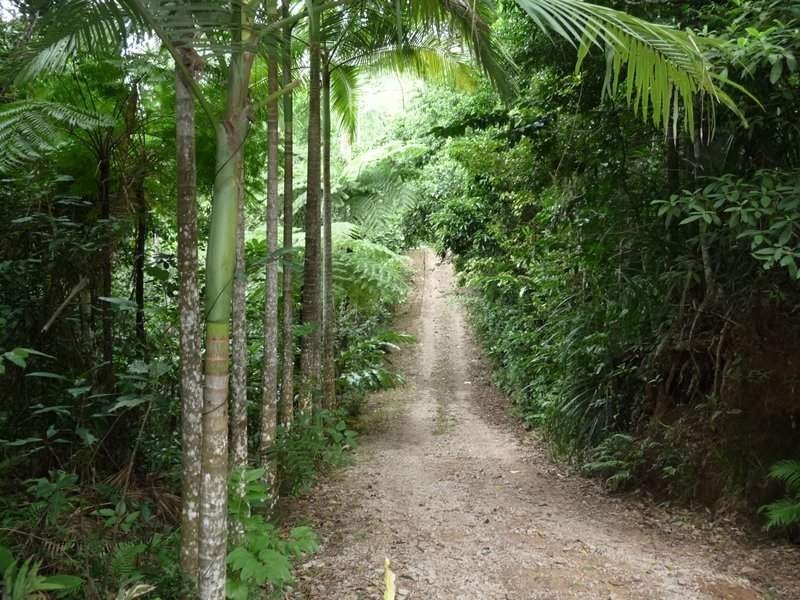 Mission Beach QLD 4852
