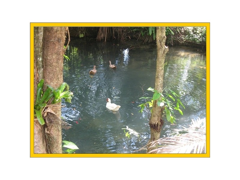 Mission Beach QLD 4852