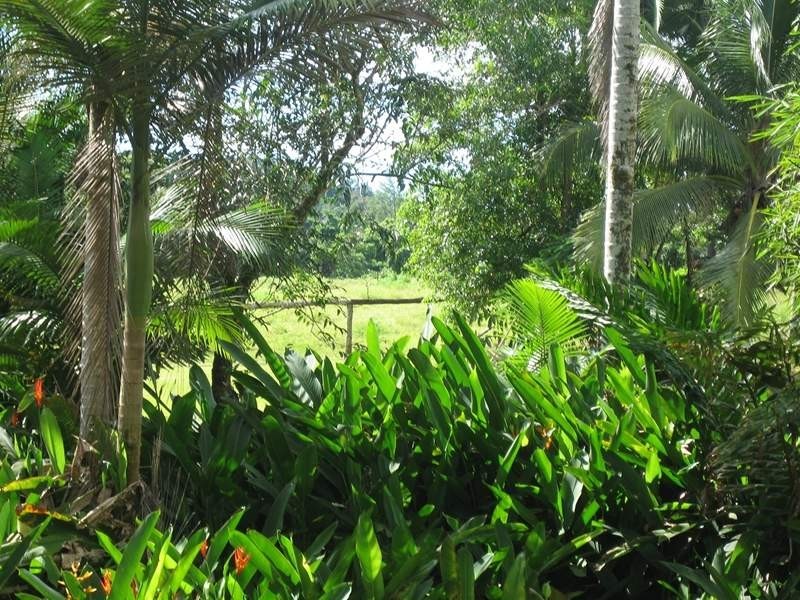 Mission Beach QLD 4852