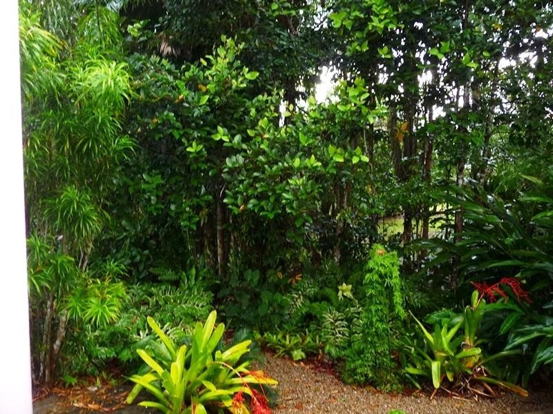 856 East Feluga Road, East Feluga QLD 4854