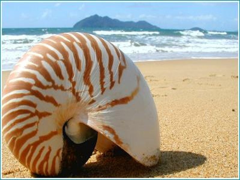 Mission Beach QLD 4852