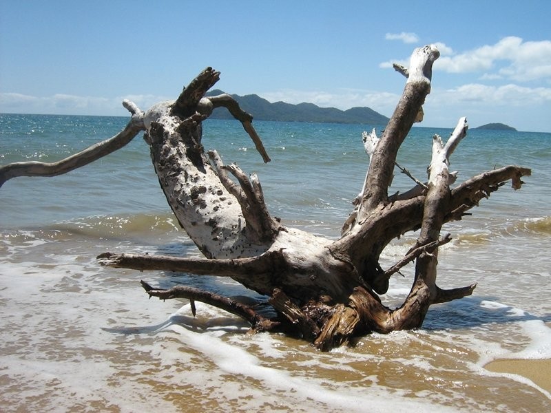 Mission Beach QLD 4852