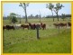 Maria Creeks QLD 4855