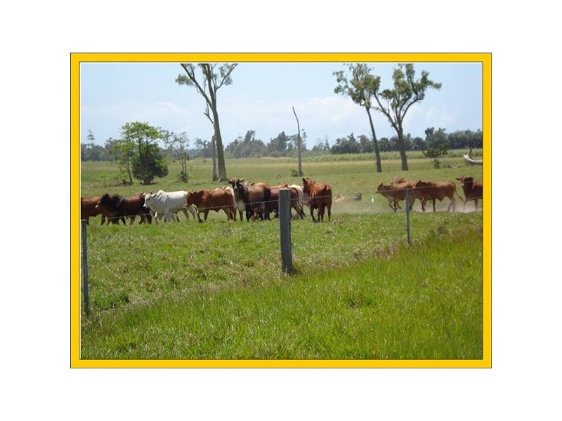 Maria Creeks QLD 4855