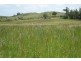 Maria Creeks QLD 4855