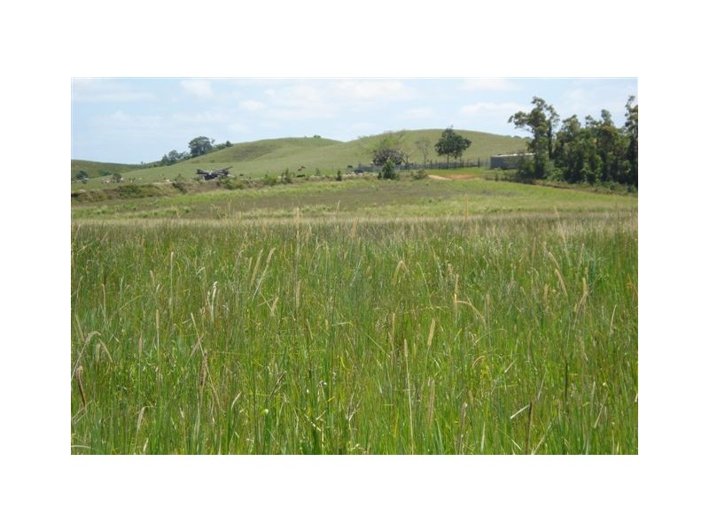 Maria Creeks QLD 4855