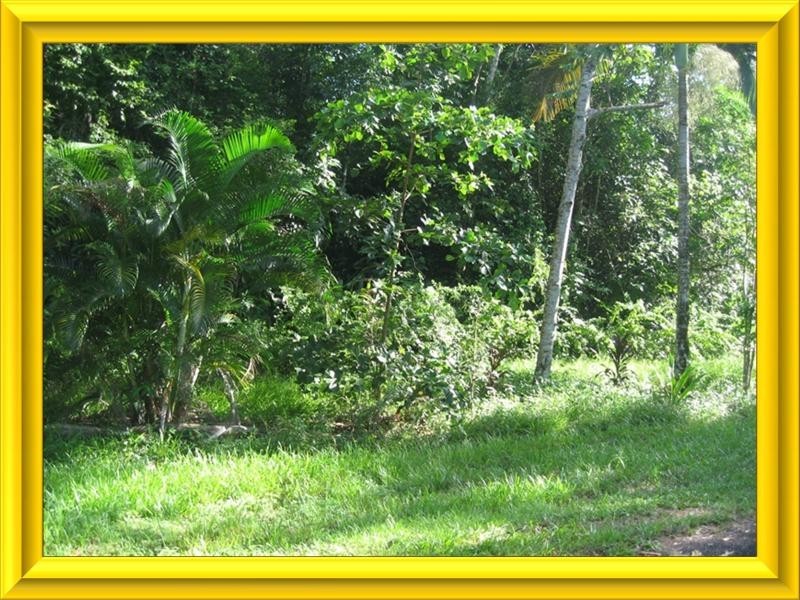 Mission Beach QLD 4852