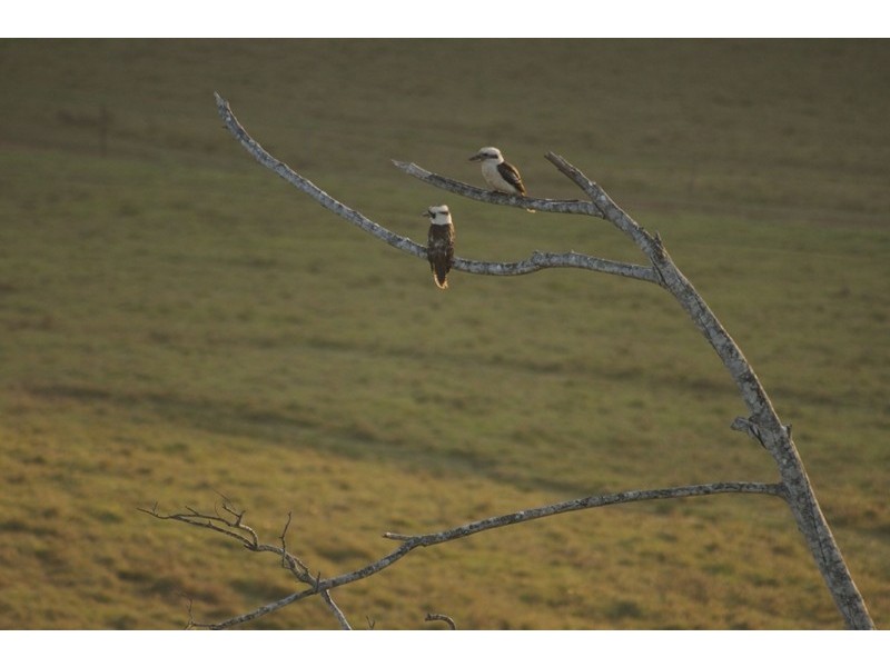 2 and 6 Explorers Drive, South Mission Beach QLD 4852