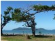 44 Midshipman Street, South Mission Beach QLD 4852