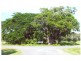 Cooktown QLD 4895
