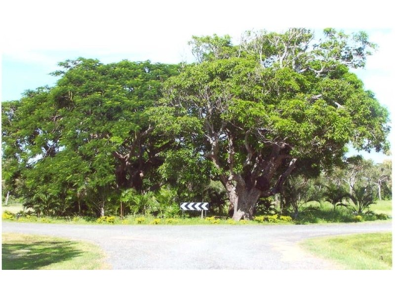 Cooktown QLD 4895