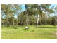 Cooktown QLD 4895