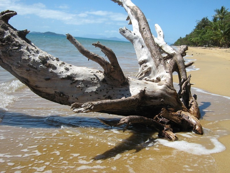 Mission Beach QLD 4852