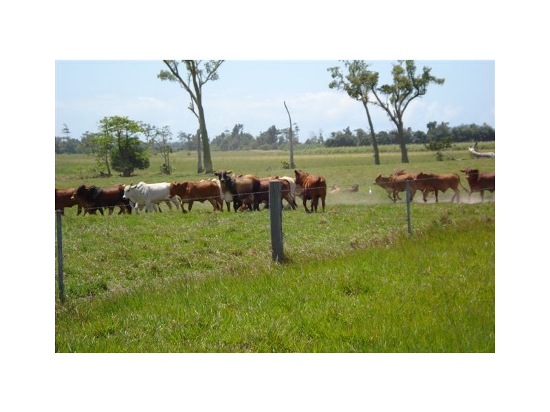 Mission Beach QLD 4852