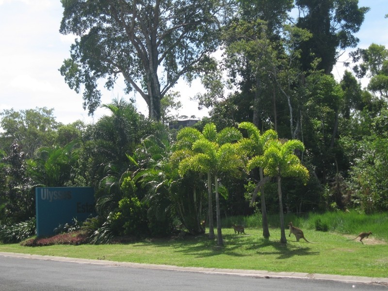 24 Heliconia Court, South Mission Beach QLD 4852