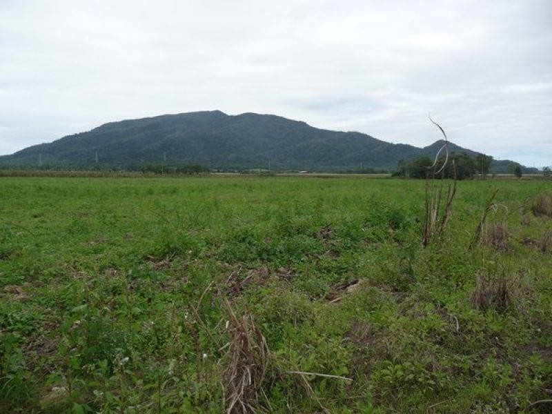 171 Old Tully Road, Tully QLD 4854