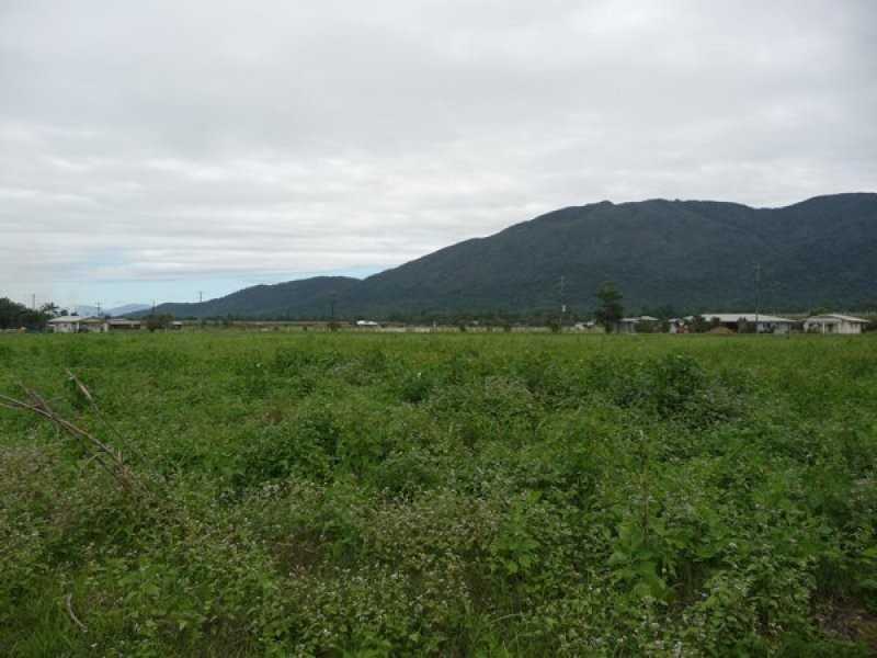 171 Old Tully Road, Tully QLD 4854
