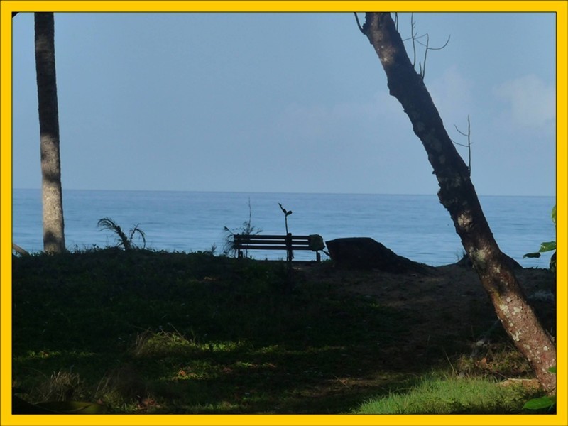 19 Reid Road, Wongaling Beach QLD 4852