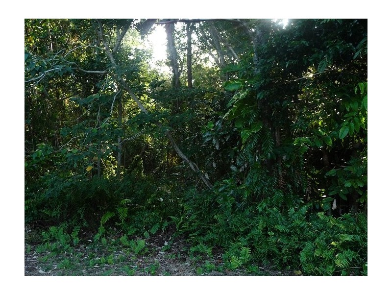 19 Reid Road, Wongaling Beach QLD 4852