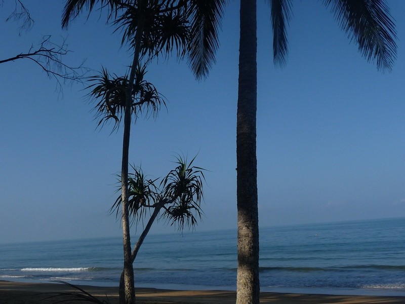 19 Reid Road, Wongaling Beach QLD 4852