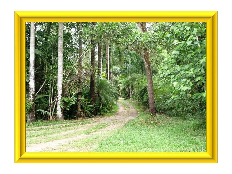 East Feluga QLD 4854