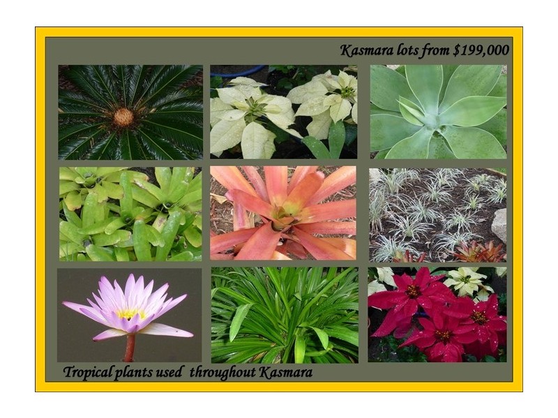 Lot 7 Kasmara 55 Banfield Parade, Wongaling Beach QLD 4852