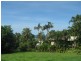 43 Cutten Street, Bingil Bay QLD 4852