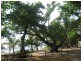 Bingil Bay QLD 4852