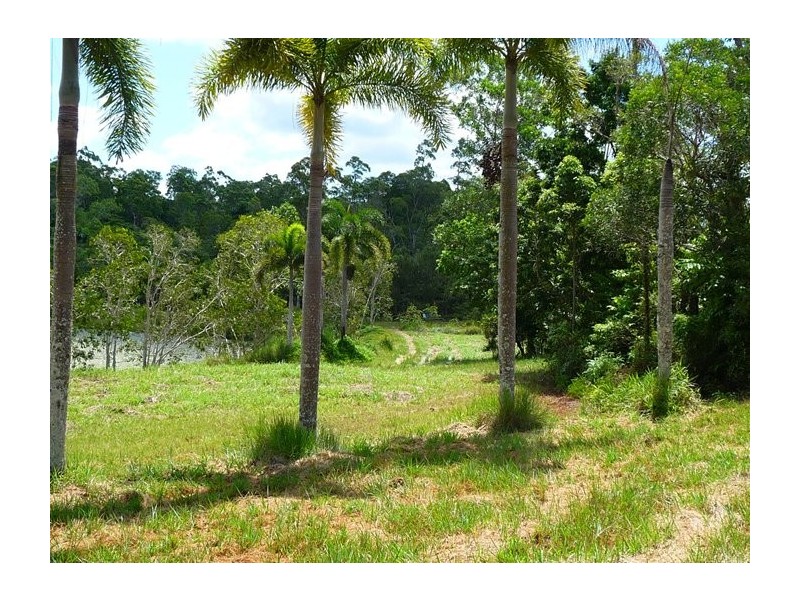 Lot 1 Mountain View Close, Maria Creeks QLD 4855
