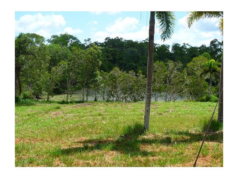 Lot 1 Mountain View Close, Maria Creeks QLD 4855