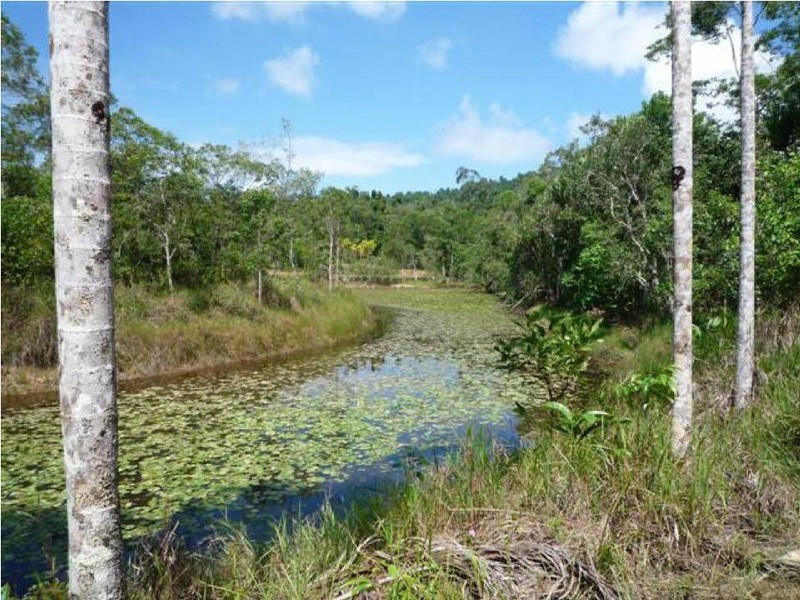 Lot 1 Mountain View Close, Maria Creeks QLD 4855