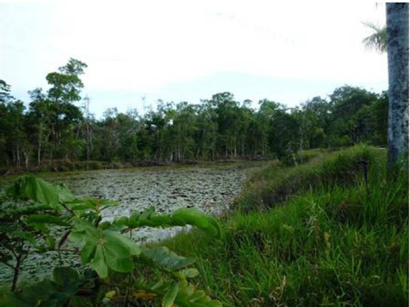 Lot 1 Mountain View Close, Maria Creeks QLD 4855