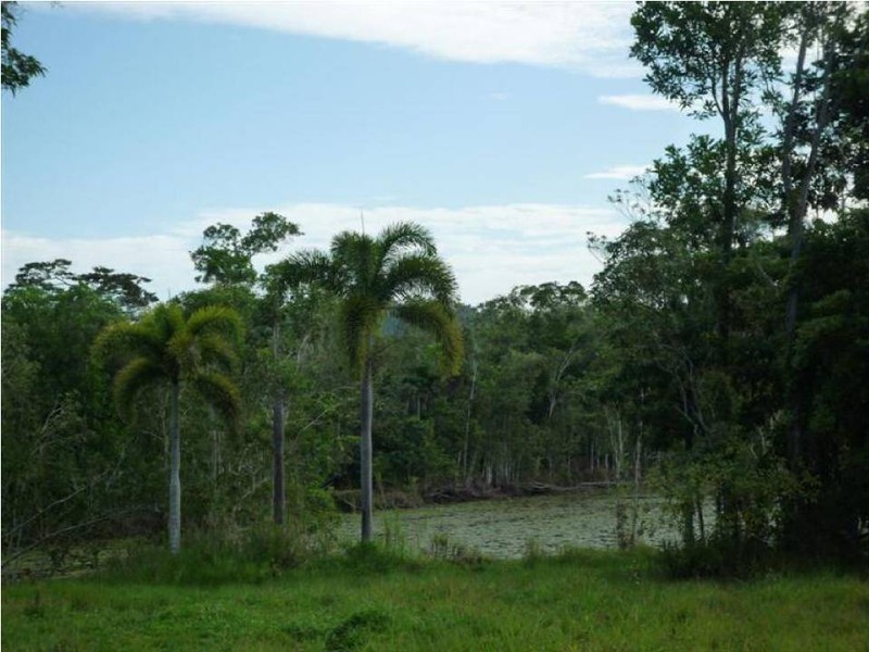 Lot 1 Mountain View Close, Maria Creeks QLD 4855