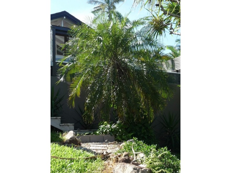 2,19 Mitchell Street, Mission Beach QLD 4852
