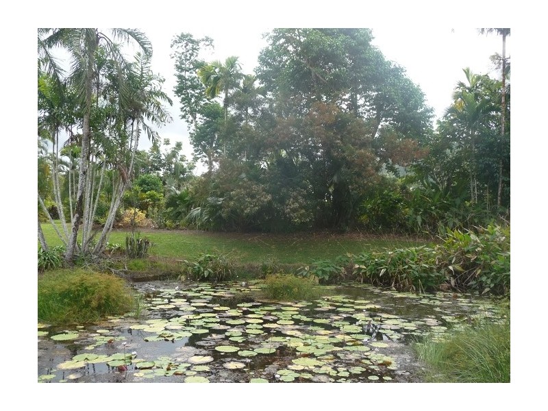 Mission Beach QLD 4852