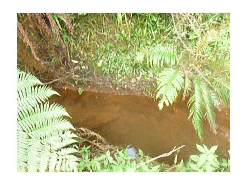 Mission Beach QLD 4852