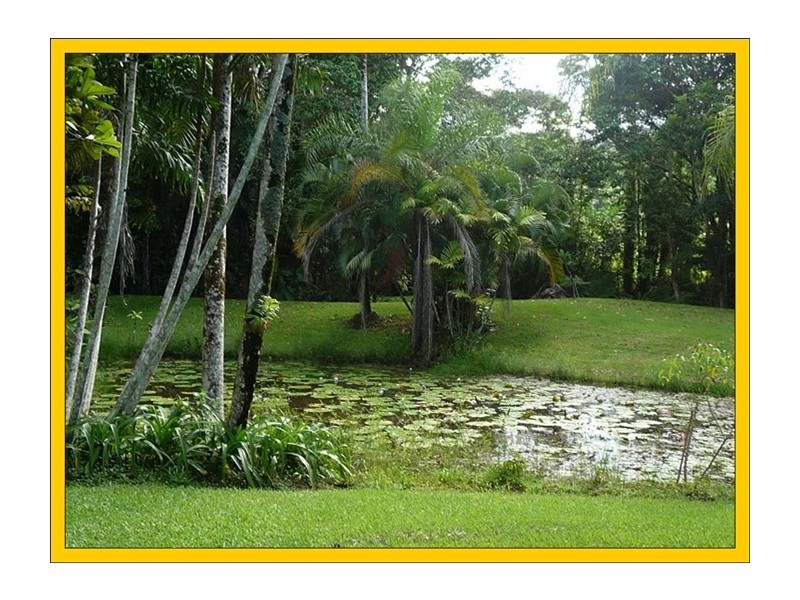 Mission Beach QLD 4852