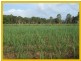 Tully QLD 4854