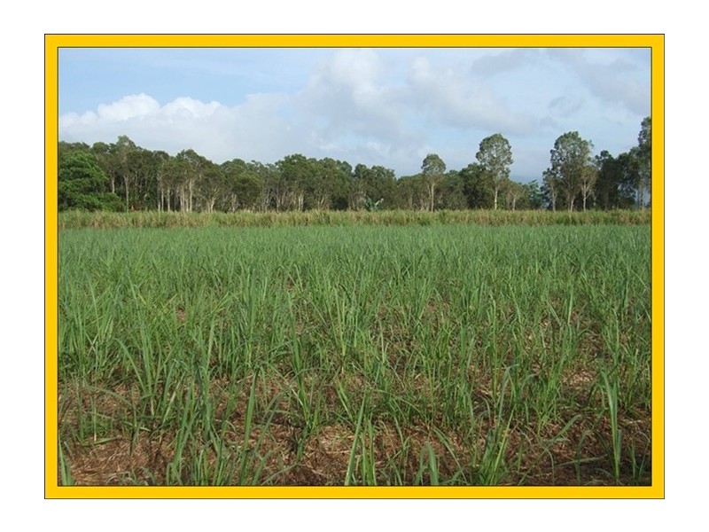 Tully QLD 4854