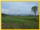 Tully QLD 4854
