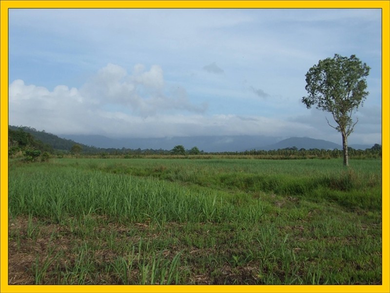 Tully QLD 4854
