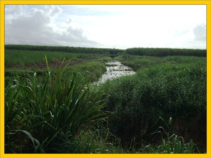 Tully QLD 4854