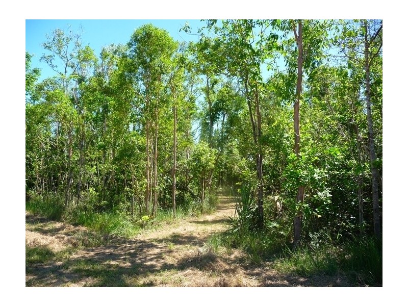 Lot 1 Syndicate Road, Tully QLD 4854