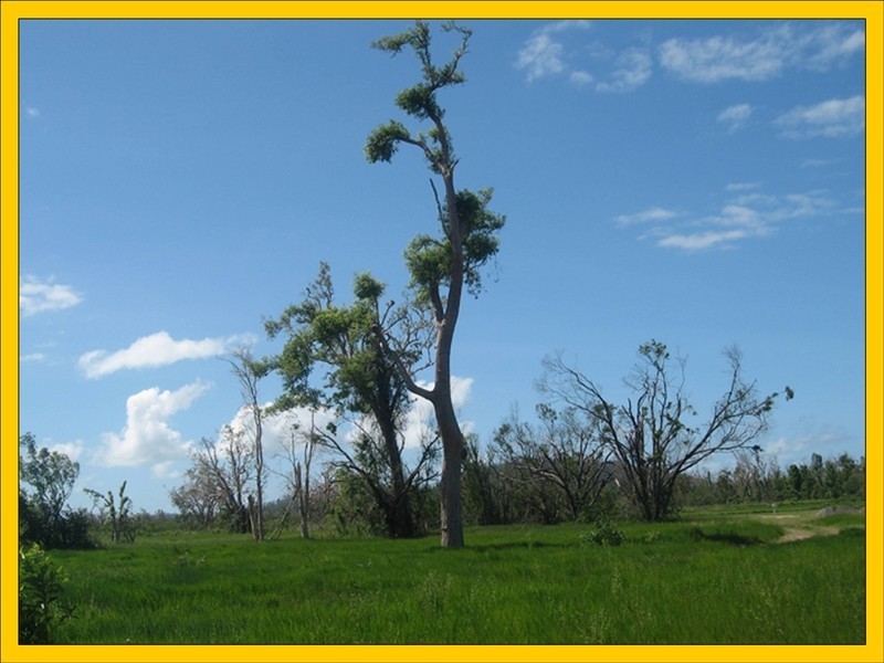 Lot 23 Amanda Crescent, Tully Heads QLD 4854