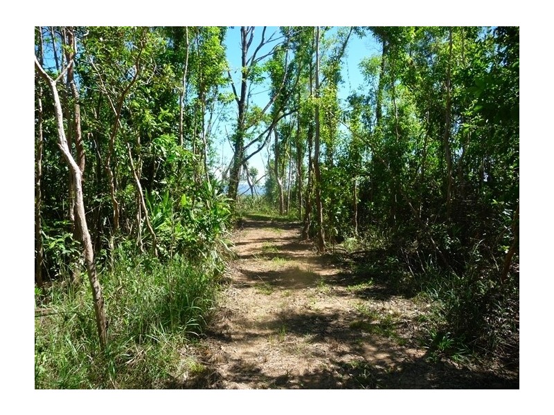 Tully QLD 4854