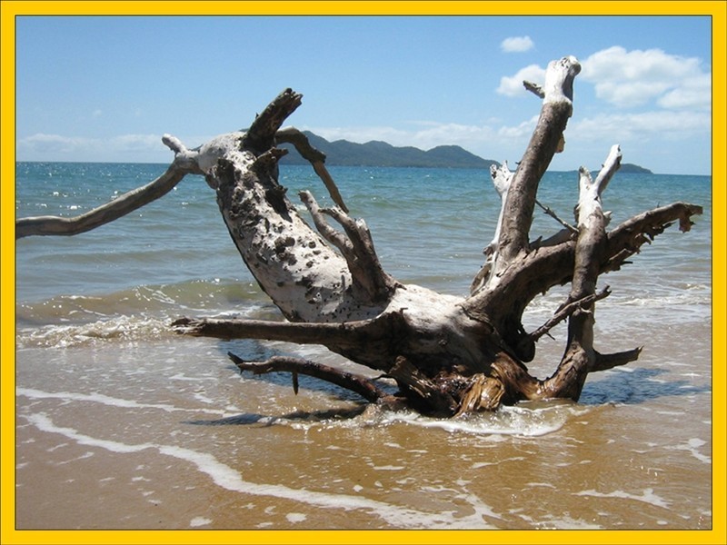 Mission Beach QLD 4852